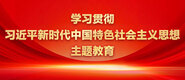 看国产大鸡巴操老美女骚逼学习贯彻习近平新时代中国特色社会主义思想主题教育_fororder_ad-371X160(2)